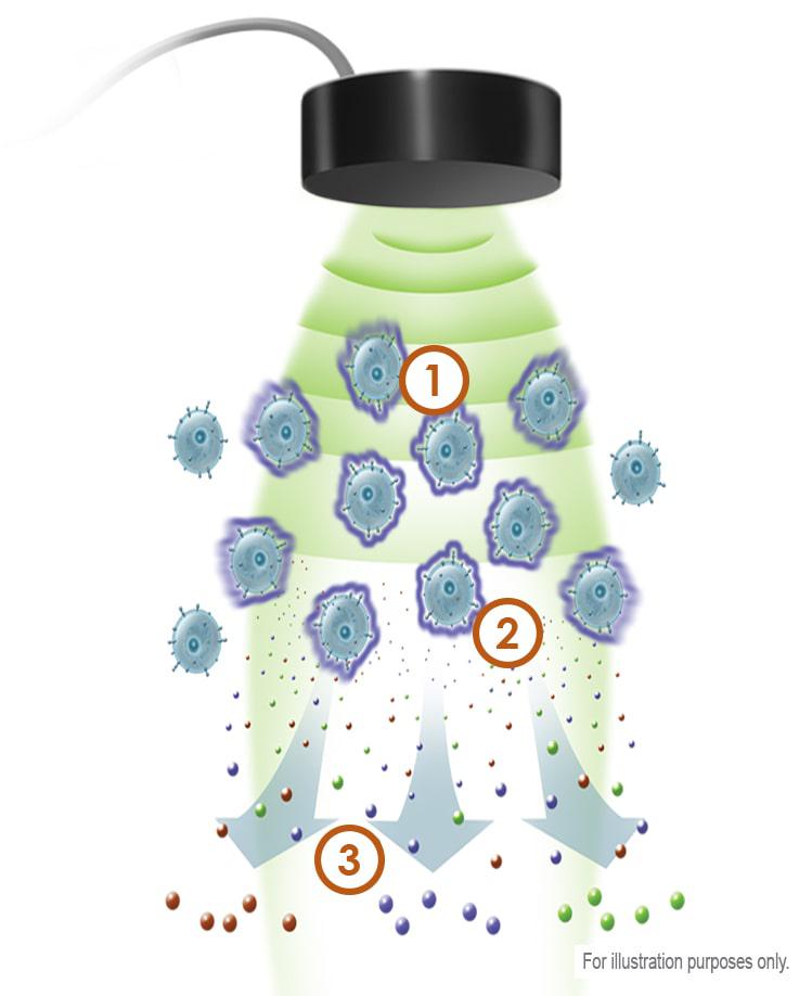 exogen